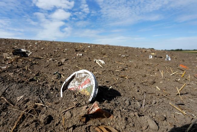 Experts caution study on plastics in humans is premature | iNFOnews.ca