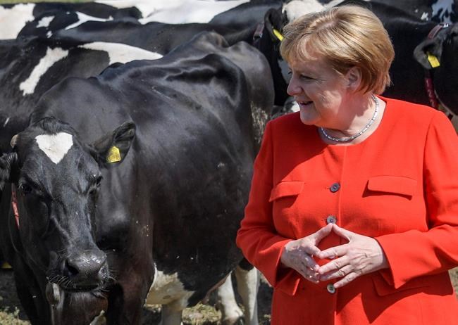 Merkel: German govt is solid despite fight over migration | iNFOnews.ca