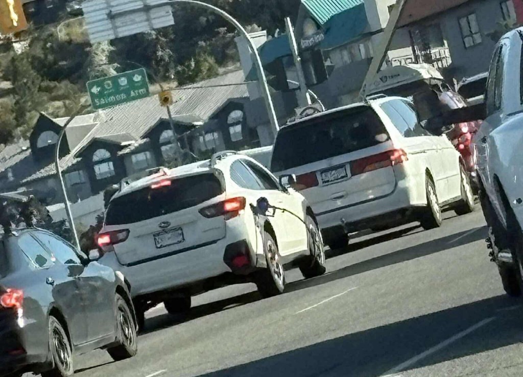 iN PHOTOS: 10 goofy things spotted in traffic in Kamloops, Okanagan | iNwheels iN PHOTOS: 10 goofy things spotted in traffic in Kamloops, Okanagan | iNwheels