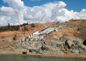 CP715772337