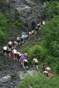 CP23796493