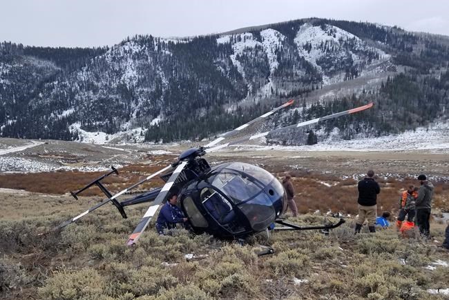 After elk crashes copter, some question wildlife chopper use | iNFOnews.ca After elk crashes copter, some question wildlife chopper use | iNFOnews.ca