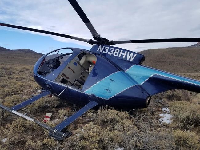 Leaping elk crashes low-flying research helicopter in Utah | iNFOnews.ca