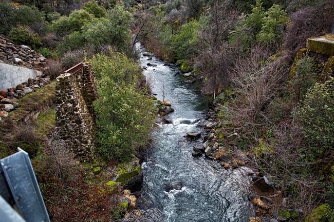 California salmon will have places to chill with dam removal | iNFOnews.ca CP1124755581