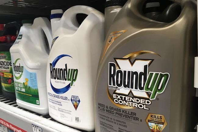 Jury: Monsanto to pay $2 billion in weed killer cancer case | iNFOnews.ca CP375919950