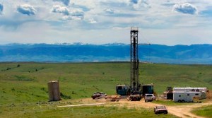 CP1771826168