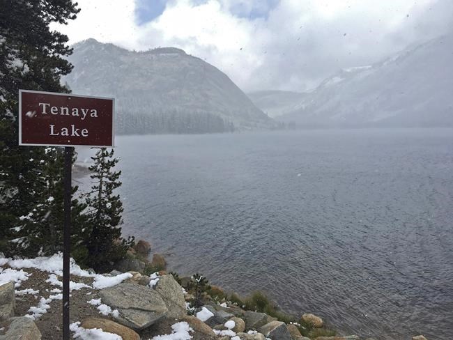 On last day of summer, snow falling in the Sierra Nevada | iNFOnews.ca