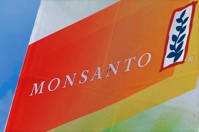 The Latest: Monsanto weed killer legal battle to last years | iNFOnews.ca The Latest: Monsanto weed killer legal battle to last years | iNFOnews.ca