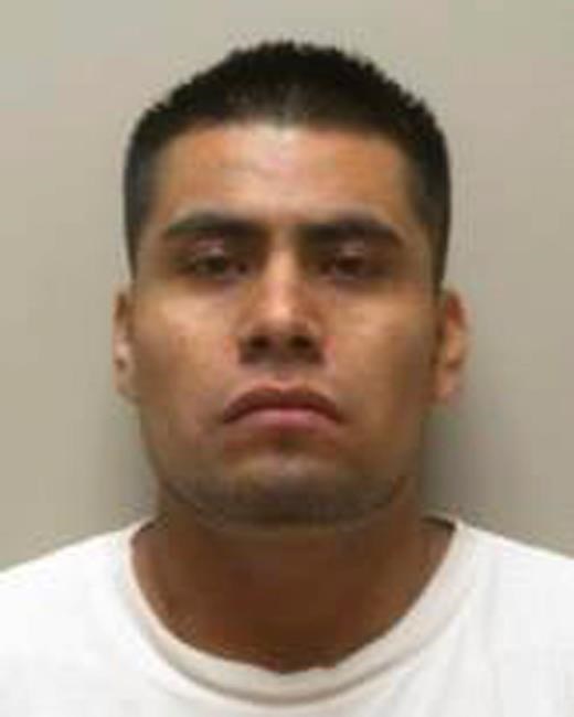 Feds: Forgery operation produced over 10,000 fake documents | iNFOnews.ca