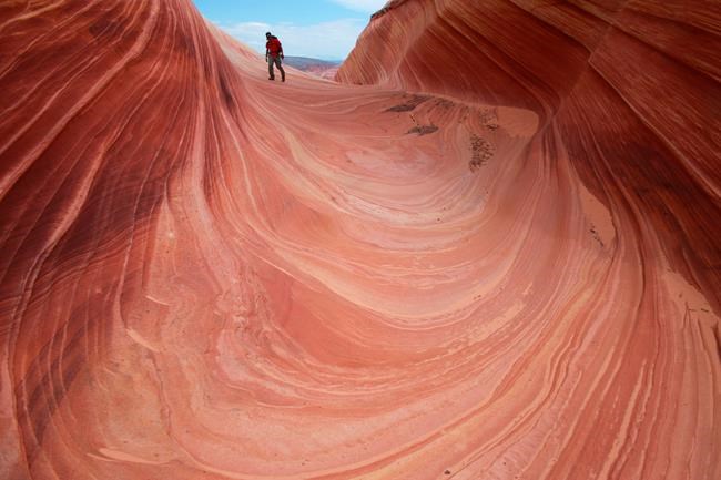 Demand for permits to hike The Wave only increasing | iNFOnews.ca