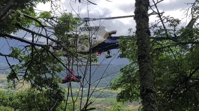 Driver saved after plunge off remote Napa road | iNFOnews.ca