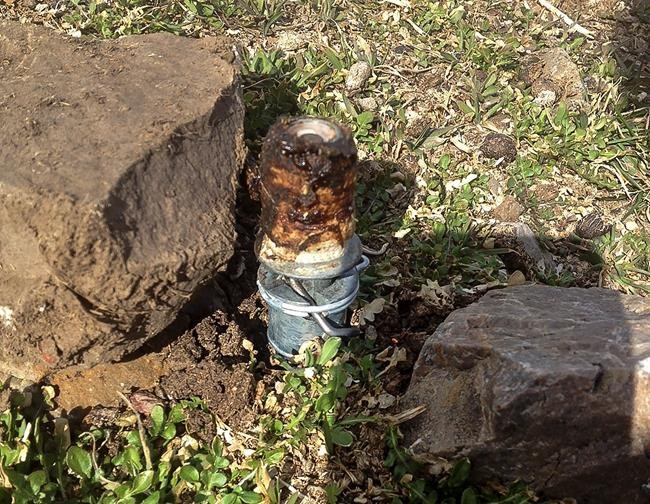 US denies liability after boy is sprayed by its cyanide trap | iNFOnews.ca US denies liability after boy is sprayed by its cyanide trap | iNFOnews.ca