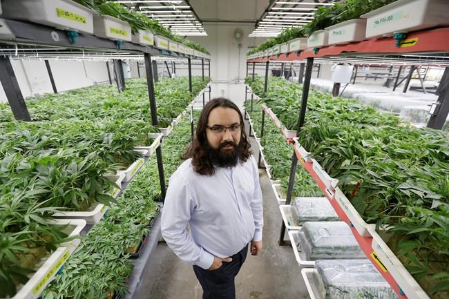 Some cities, states help minorities enter marijuana industry | iNFOnews.ca