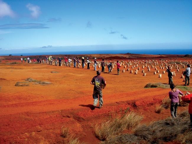Future funding murky for Hawaiian island used as bomb range | iNFOnews.ca