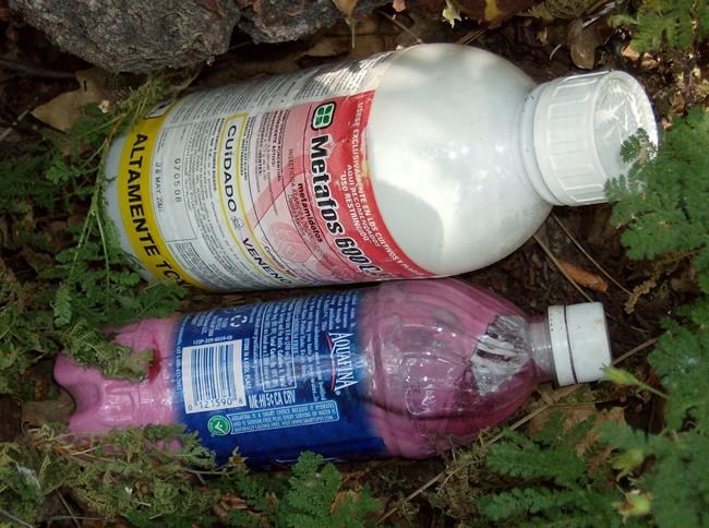 Legal pot in California brings host of environmental rules | iNFOnews.ca Legal pot in California brings host of environmental rules | iNFOnews.ca