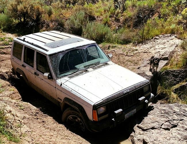 73-year-old, his dogs rescued after 4 days in remote Oregon | iNFOnews.ca