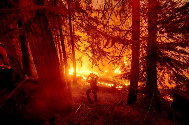 California plans $536M for forests before wildfire season | iNFOnews.ca