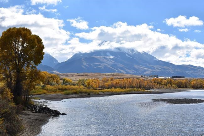 Biden taps Montana environmentalist for US public lands boss | iNFOnews.ca