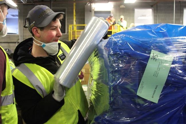 Prepping straw bedding for dogs signals Iditarod is near | iNFOnews.ca Prepping straw bedding for dogs signals Iditarod is near | iNFOnews.ca