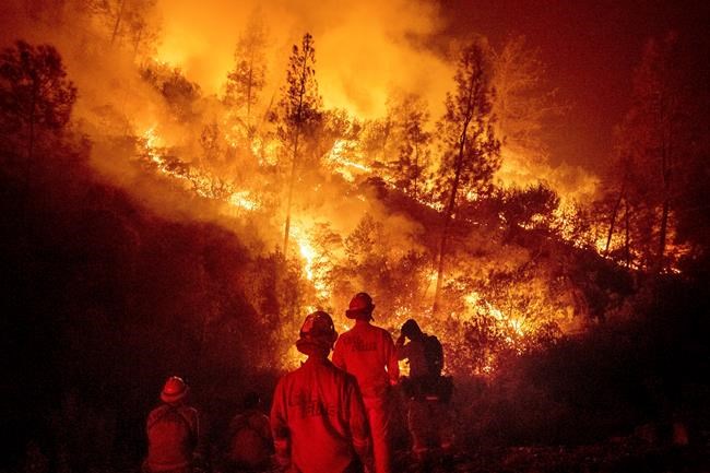 California's largest wildland fire started by hammer sparks | iNFOnews.ca