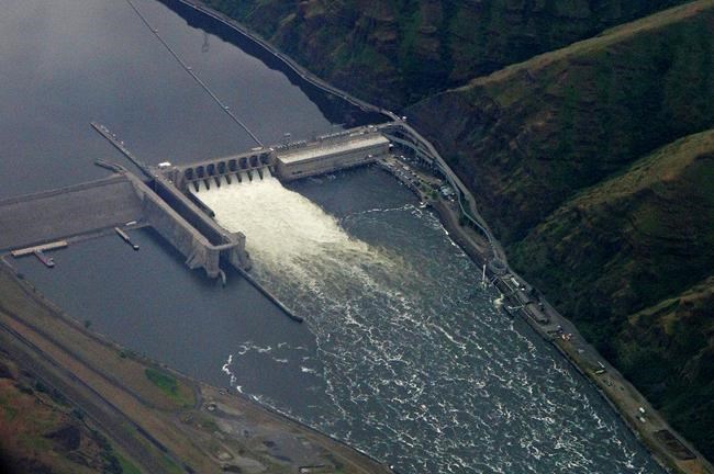 US: Snake River dams will not be removed to save salmon | iNFOnews.ca
