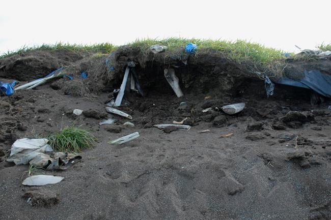 Failing ice cellars signal changes in Alaska whaling towns | iNFOnews.ca