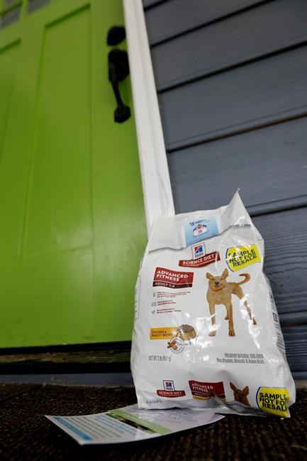 Saving pets: Program lends hand to low-income animal owners | iNFOnews.ca Saving pets: Program lends hand to low-income animal owners | iNFOnews.ca