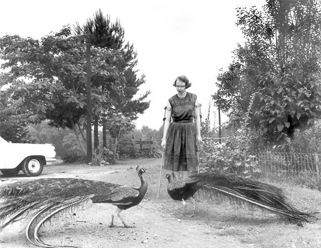 Flannery O'Connor's Andalusia farm gifted to Georgia College | iNFOnews.ca CP1882783778