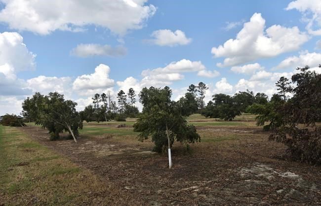 Farmers fear it will take years to recover from storm strike | iNFOnews.ca