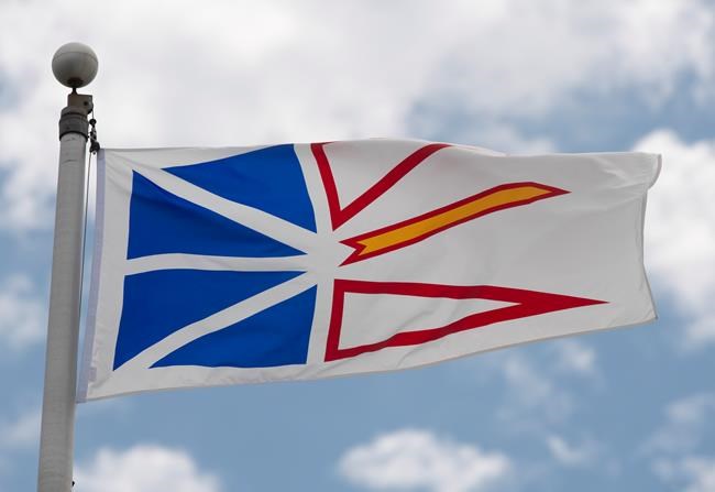 N.L. COVID-19 travel ban arbitrary, violates mobility rights, courtroom told | iNFOnews.ca N.L. COVID-19 travel ban arbitrary, violates mobility rights, courtroom told | iNFOnews.ca