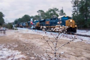 CP185818336