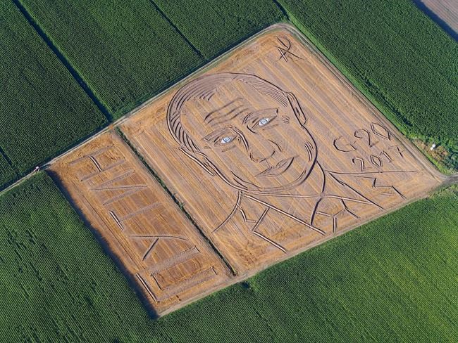 Italian farmer turns field into Putin portrait ahead of G20 | iNFOnews.ca Italian farmer turns field into Putin portrait ahead of G20 | iNFOnews.ca