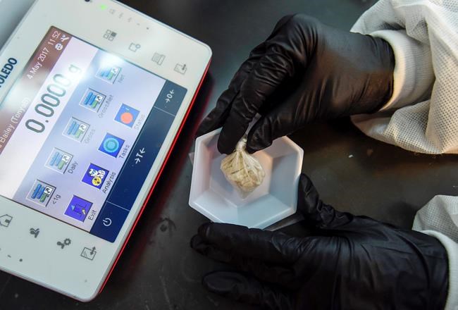 Gray death: Dangerous opioid combo is latest mixing trend | iNFOnews.ca Gray death: Dangerous opioid combo is latest mixing trend | iNFOnews.ca