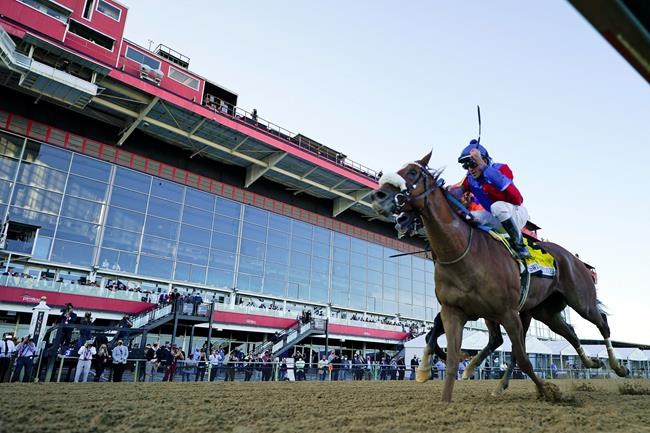 Winning filly: Swiss Skydiver beats Authentic in Preakness | iNFOnews.ca Winning filly: Swiss Skydiver beats Authentic in Preakness | iNFOnews.ca