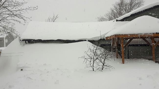Pack ice, epic blizzards as 'relentless' winter won't let go across Newfoundland | iNFOnews.ca Pack ice, epic blizzards as 'relentless' winter won't let go across Newfoundland | iNFOnews.ca