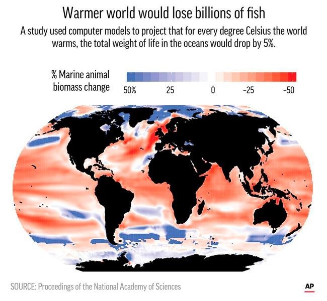 In hot water? Study says warming may reduce sea life by 17% | iNFOnews.ca