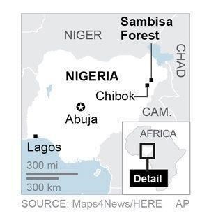 Nigeria: Boko Haram is crushed, forced out of last enclave | iNFOnews.ca