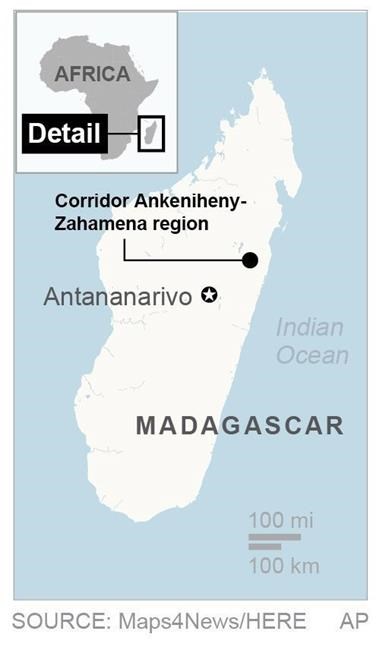 Madagascar forest overwhelmed by thousands seeking sapphires | iNFOnews.ca