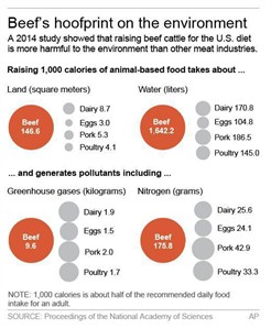 Beef, agriculture industries upset with dietary guidelines that consider environmental impact | iNFOnews.ca Beef, agriculture industries upset with dietary guidelines that consider environmental impact | iNFOnews.ca