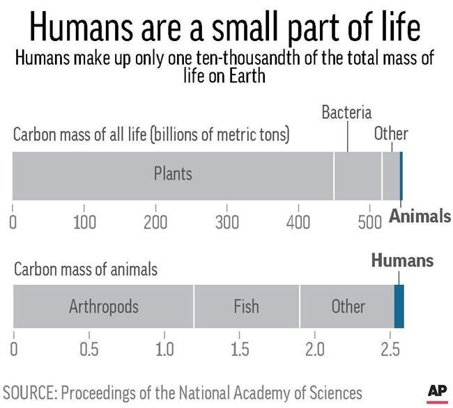 Humans account for little next to plants, worms, bugs | iNFOnews.ca