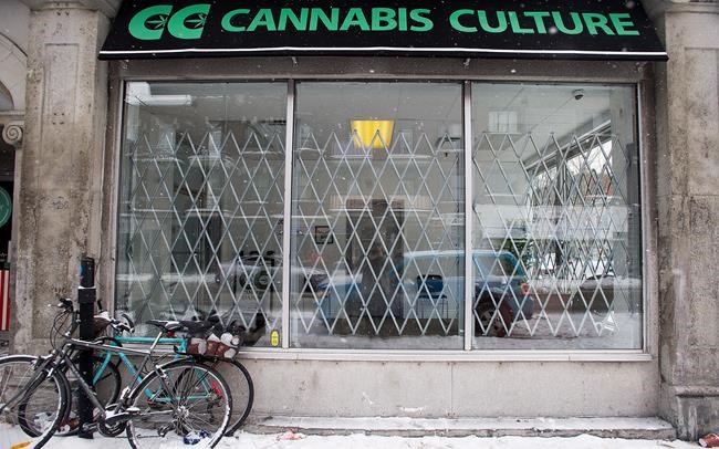 Marc Emery facing drug charges after Montreal police raid pot boutiques | iNFOnews.ca