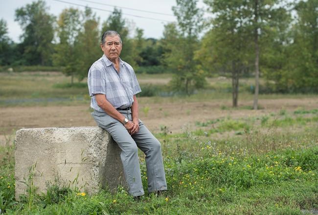 First Nations look to secure a piece of the cannabis pie ahead of legalization | iNFOnews.ca