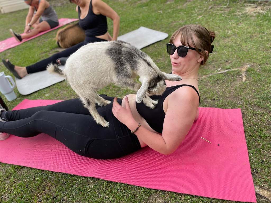 iN PHOTOS: Just kiddin' around at goat yoga in Penticton | iNFOnews.ca iN PHOTOS: Just kiddin' around at goat yoga in Penticton | iNFOnews.ca