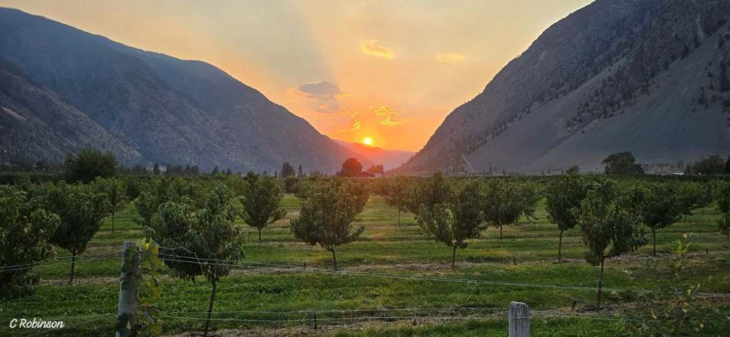 iN PHOTOS: Golden Hour transforms landscapes in Thompson-Okanagan | iNFOnews.ca iN PHOTOS: Golden Hour transforms landscapes in Thompson-Okanagan | iNFOnews.ca