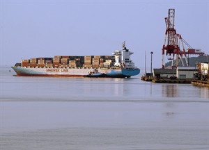 CP19825288