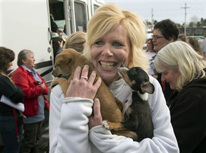 Homeless dogs arrive in Halifax after eight-day RV road trip from California | iNFOnews.ca CP22046452