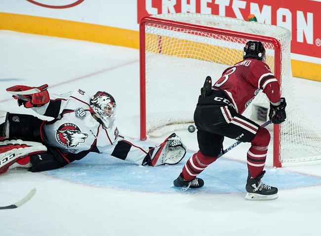 Alexey Toropchenko with hat trick, Storm beat Huskies at Memorial Cup | iNFOnews.ca Alexey Toropchenko with hat trick, Storm beat Huskies at Memorial Cup | iNFOnews.ca