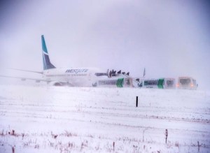 CP1665015520