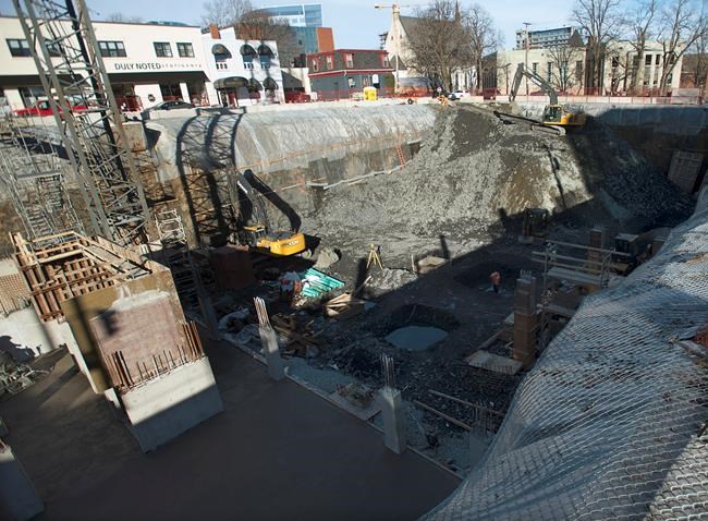 Halifax considers its options as rat problems grow: 'As common as pigeons' | iNFOnews.ca
