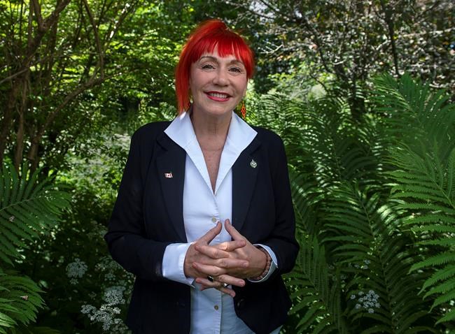 'It's painful,' says N.S. MP of string of abusive calls, veiled threats | iNFOnews.ca